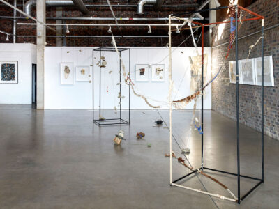 Gina van der Ploeg | Work in Progress